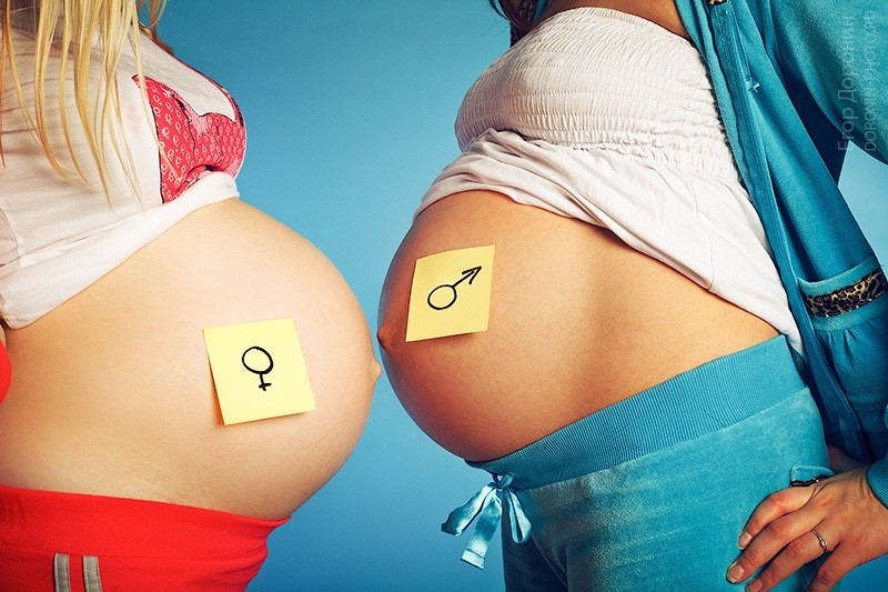 Беременность после 35 недель. Форма живота беременной мальчиком. Форма живота при беременности мальчиком и девочкой. Животы беременных мальчиками. Форма живота беременной девочкой.